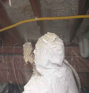 Point Pleasant NJ crawl space insulation